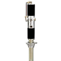 Dayton, 5UWG6, Drum Pump, Air Operated, 3/4 In FNPT