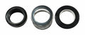 Dayton PP60050G Shaft Seal C/C/B
