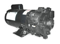 Dayton 2ZWP5 Pump, Centrifugal, 1 HP, 1 Ph, 115/230V