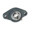 Flange Bearing, 2-Bolt, Ball, 1-1/4" Bore