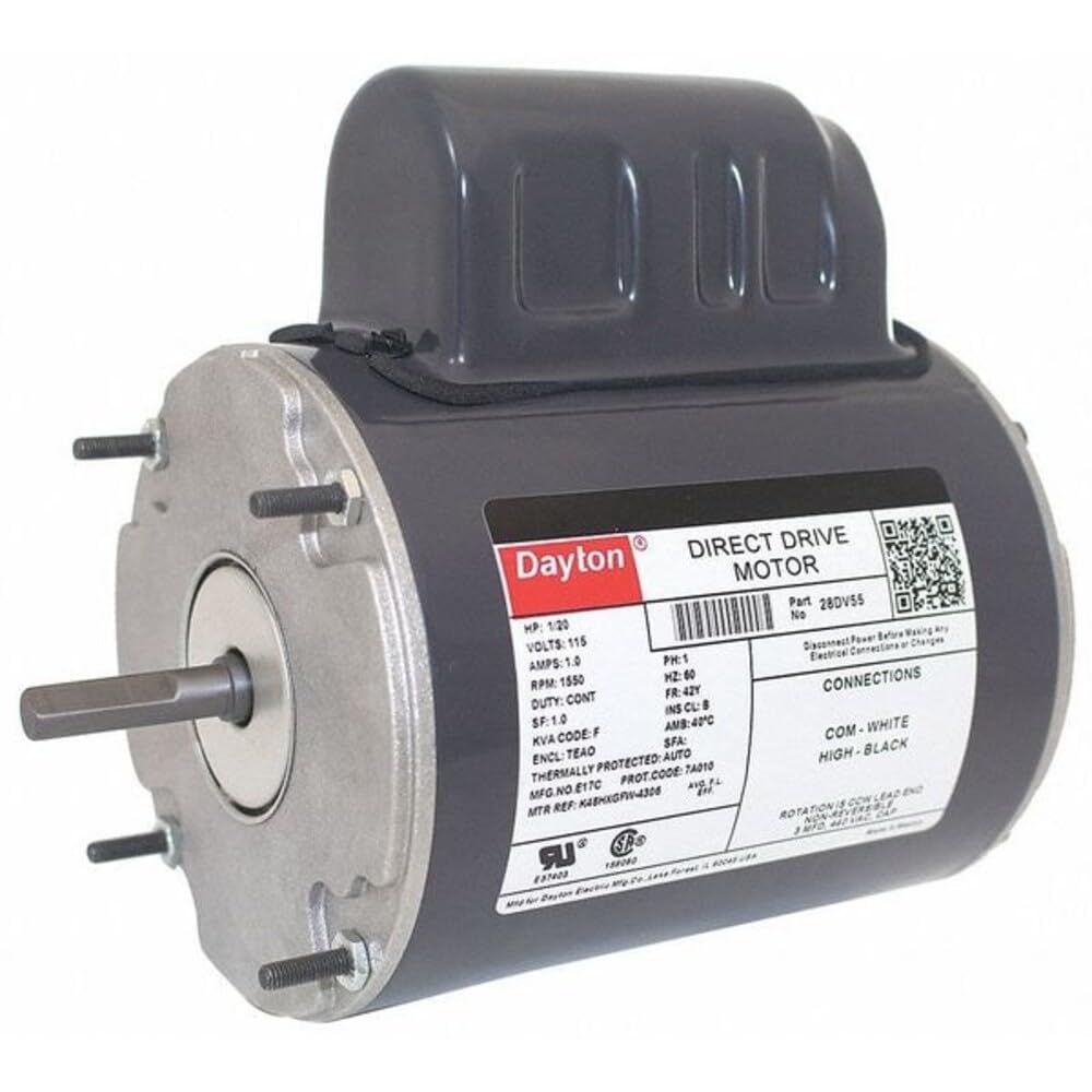 Dayton Motor