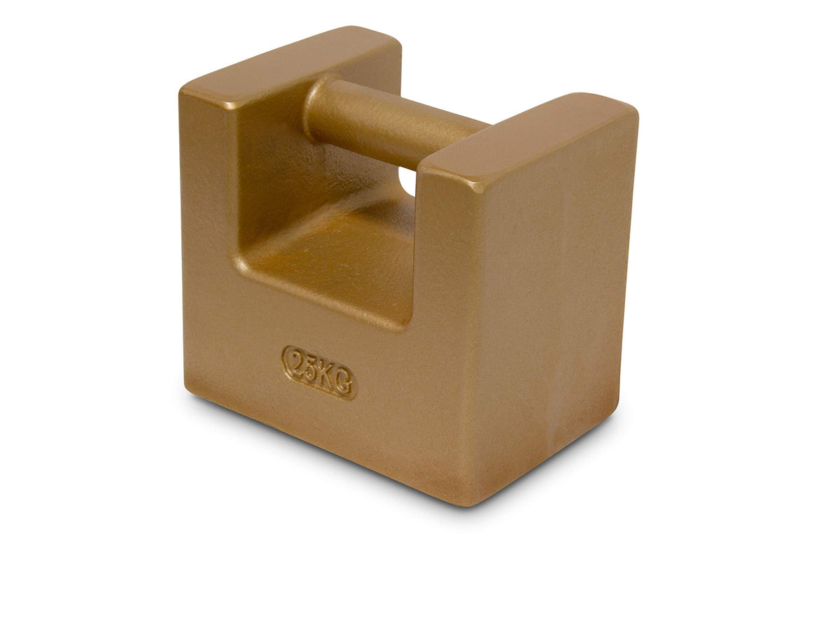 Rice Lake Cast Iron Painted Grip Handle Calibration Weight, NIST Class F, Metric and U.S. Customary